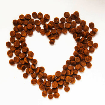 Dog Dry Food - Digestive Health