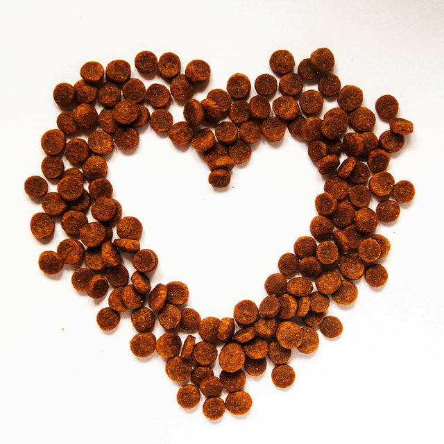 Dog Dry Food - Digestive Health