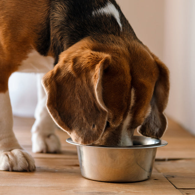 Dog Dry Food - Weight Management