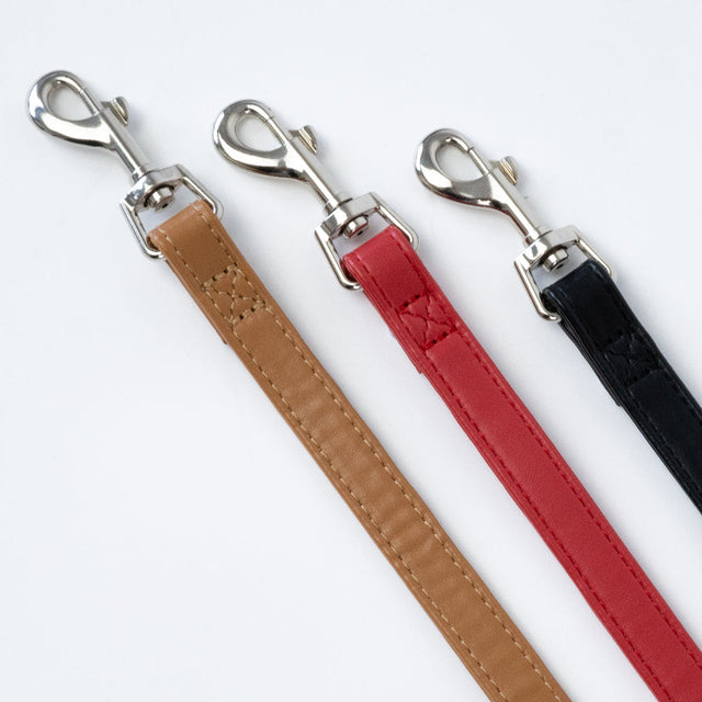 Dog Leads