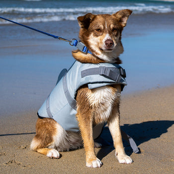 Dog Life Jackets