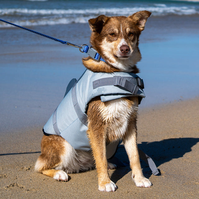 Dog Life Jackets