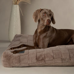 Collection image for: Dog Orthopaedic Beds