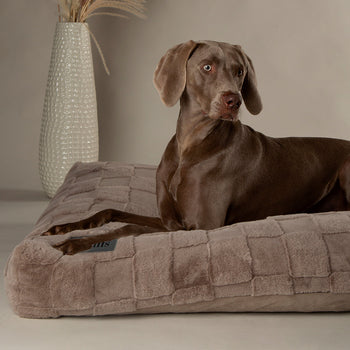 Dog Orthopaedic Beds