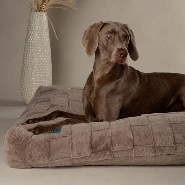 Dog Orthopaedic Beds
