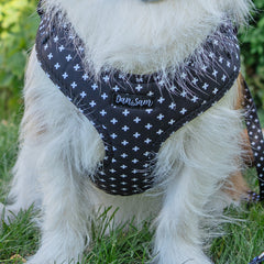 Collection image for: Dog Patterned Harnesses