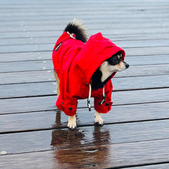 Collection image for: Dog Rain Jackets
