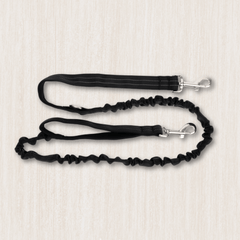Collection image for: Dog Shock Absorbing Leads