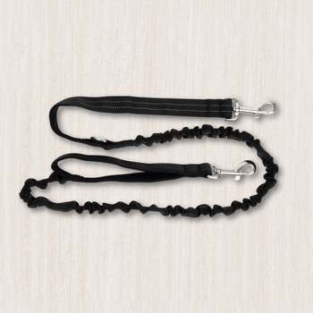 Dog Shock Absorbing Leads