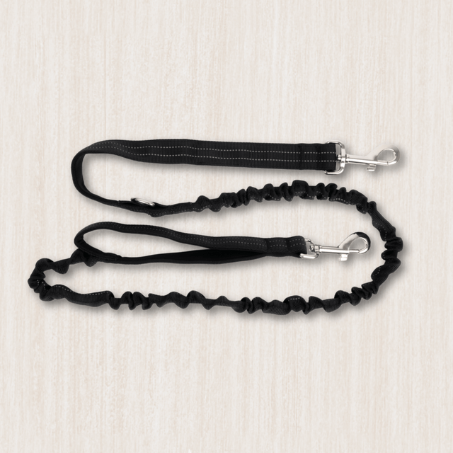 Dog Shock Absorbing Leads