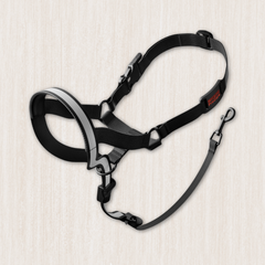 Collection image for: Dog Training Collars