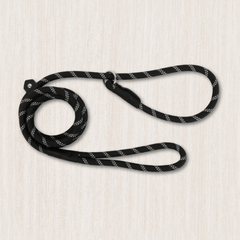 Collection image for: Dog Training Leads