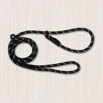 Dog Training Leads