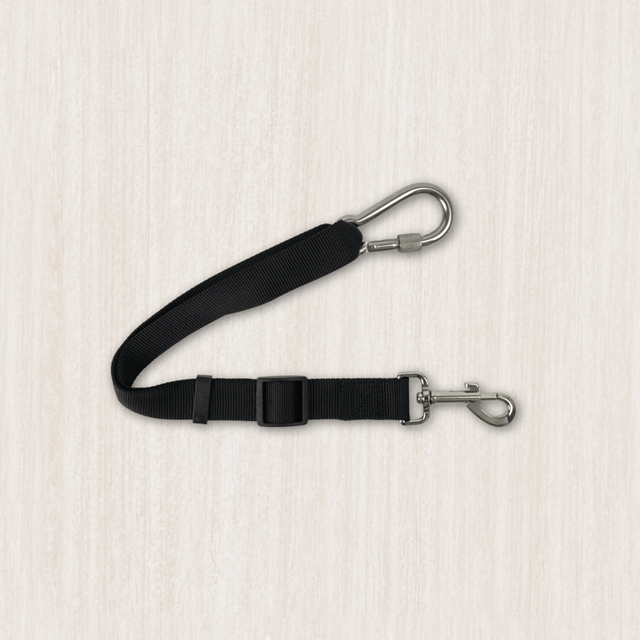 Dog Ute Leads