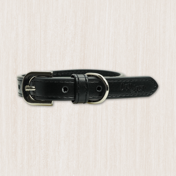 Dog Vegan Leather Collars