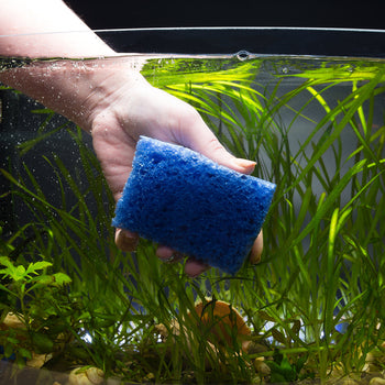 Aquarium Algae Cleaners