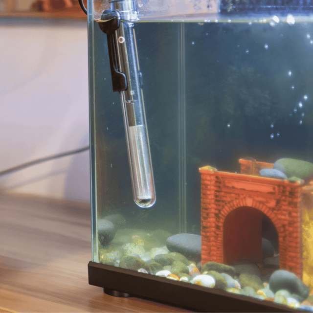 Aquarium Heaters