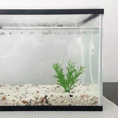 Collection image for: Aquarium Kits