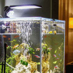Collection image for: Aquarium Lighting