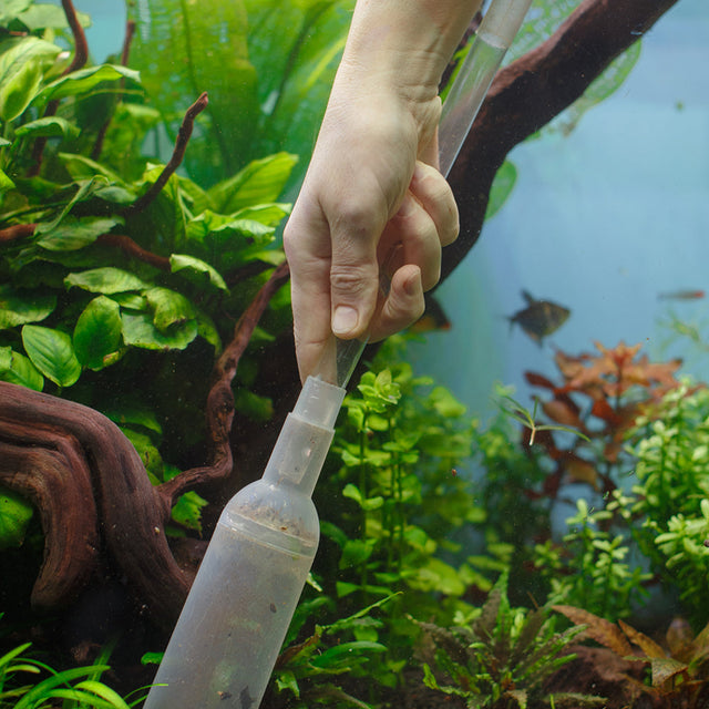 Aquarium Gravel Vacuums