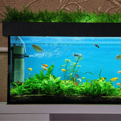 Collection image for: Large Aquariums 201-450L