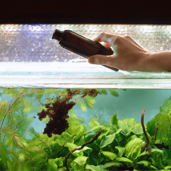 Fish Medications & Health Treatments
