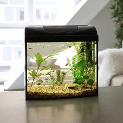 Collection image for: Small Aquariums 1-100L
