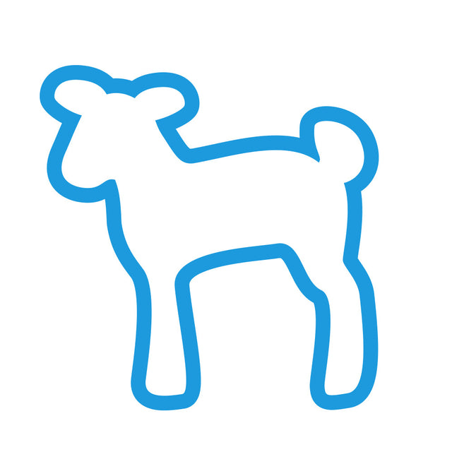 Dog Dry Food - Lamb