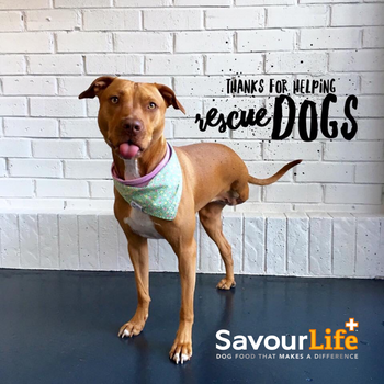 SavourLife Entire Range