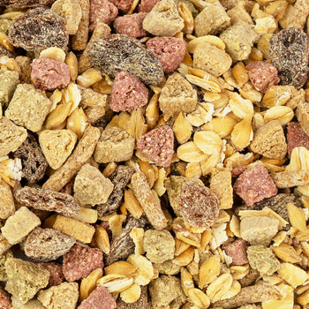 Small Animal Food