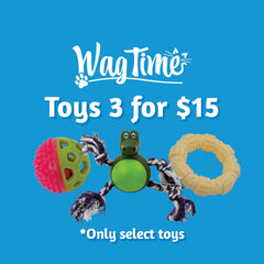 Collection image for: WagTime Dog Toys 3 for $15