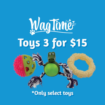 WagTime Dog Toys 3 for $15