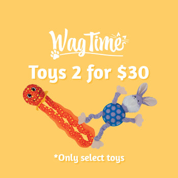 WagTime Dog Toys 2 for $30