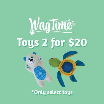 WagTime Dog Toys 2 for $20