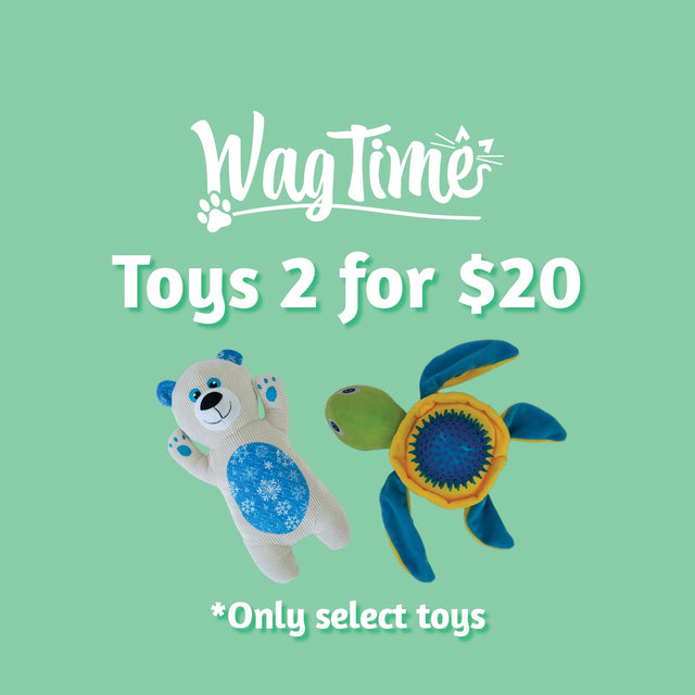 WagTime Dog Toys 2 for $20