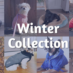 Collection image for: Winter Collection 2025