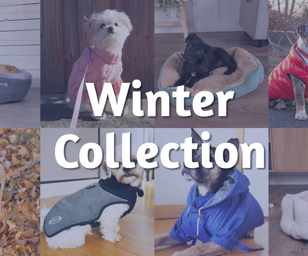 Winter Collection 2025 – Pets Domain