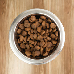 Collection image for: Puppy Dry Food