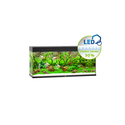 Juwel - Rio LED Aquarium (Black) (240L)
