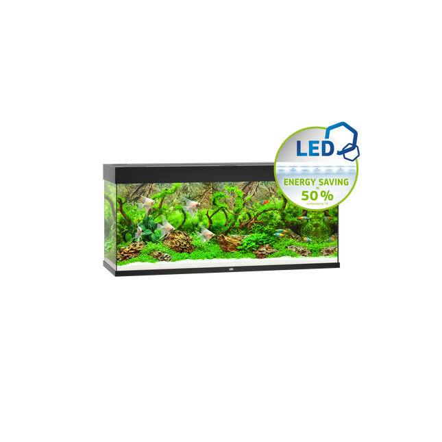 Juwel - Rio LED Aquarium (Black) (240L)