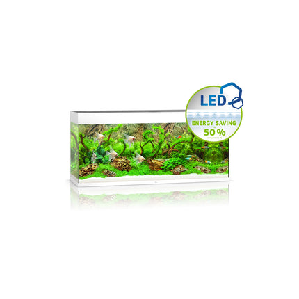 Juwel - Rio LED Aquarium (White) (240L)