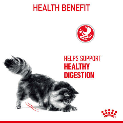 Royal Canin - Digestive Care Adult Cat Dry Food (4kg)