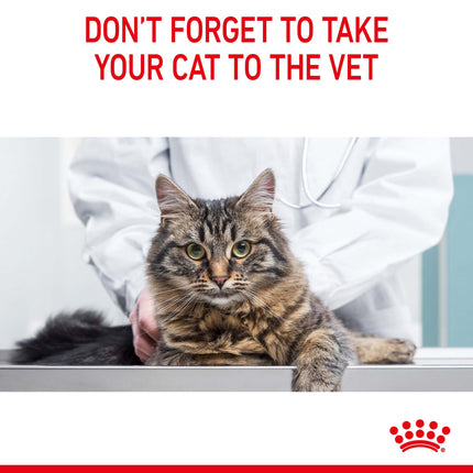 Royal Canin - Digestive Care Adult Cat Dry Food (4kg)