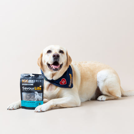 SavourLife - Australian Salmon Training Treats (150g)