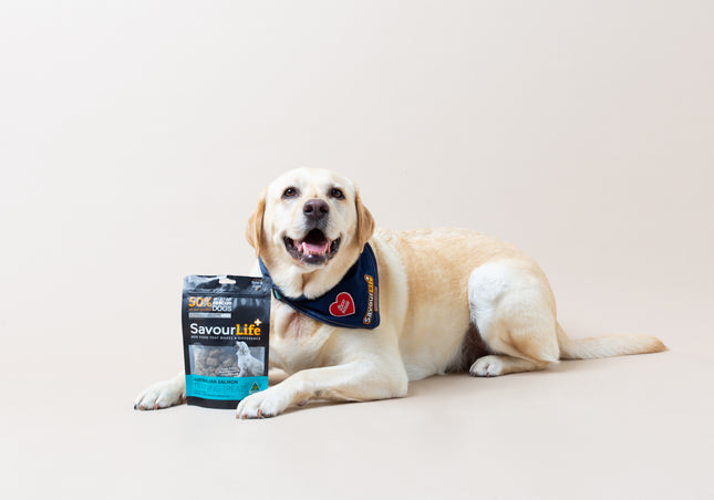 SavourLife - Australian Salmon Training Treats (150g)