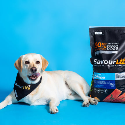 SavourLife - Grain Free Salmon Dog Dry Food (2.5kg)