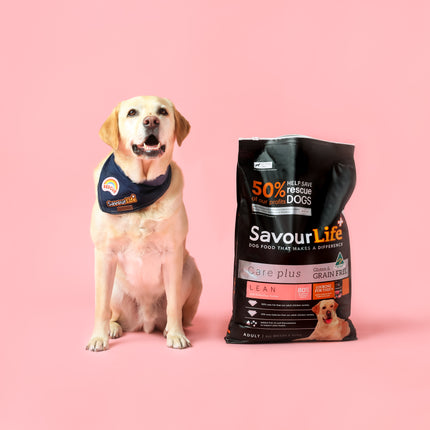 SavourLife - Grain Free Turkey CarePlus Lean Dog Dry Food (2.5kg)