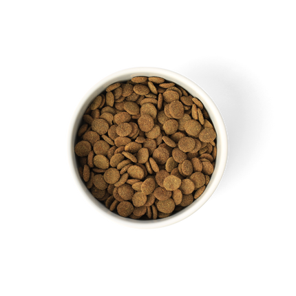 SavourLife - Grain Free Turkey CarePlus Lean Dog Dry Food (2.5kg)