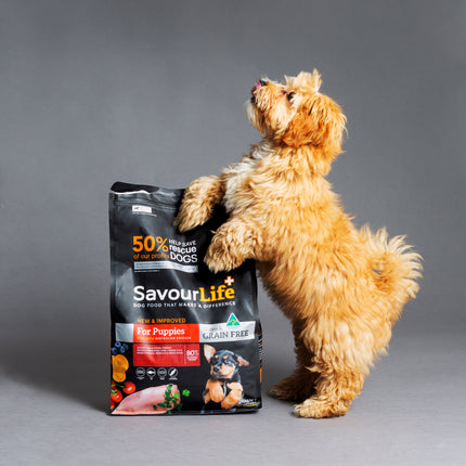 SavourLife - Grain Free Chicken Puppy Dry Food (10kg)
