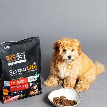 SavourLife - Grain Free Chicken Puppy Dry Food (10kg)